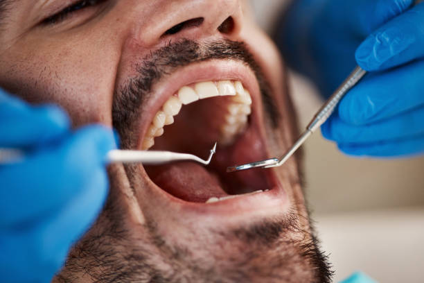 Best Emergency Pediatric Dental Care in Forreston, IL