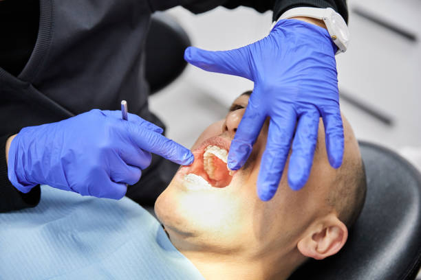 Best Emergency Cosmetic Dentistry (e.g., broken veneers) in Forreston, IL